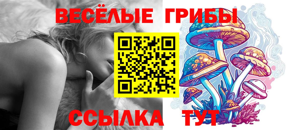 Галлюциногенные грибы мухоморы Минеральные Воды